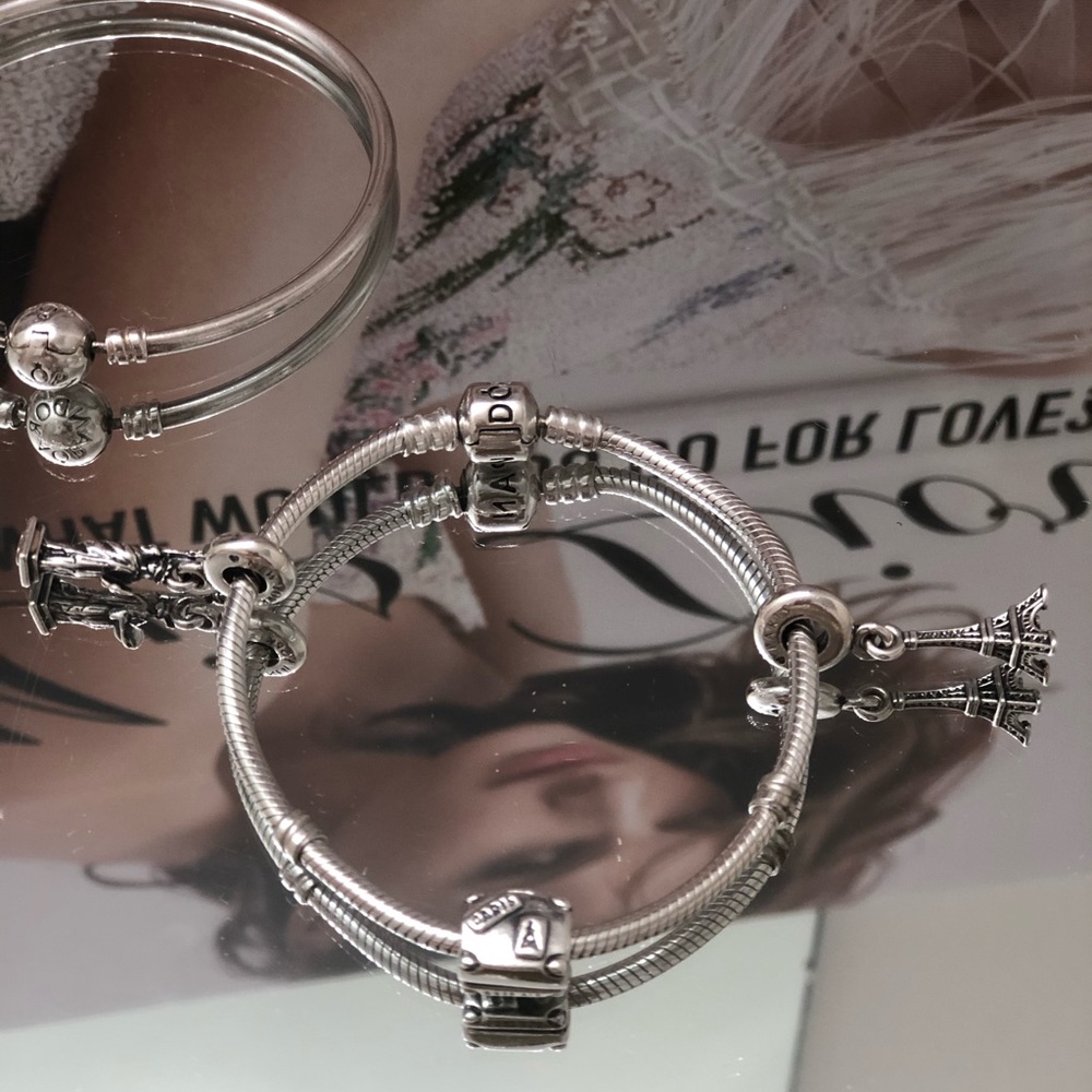 Pandora Bracelet / Charm Bundle - image 3